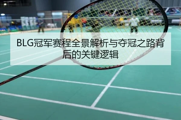 BLG冠军赛程全景解析与夺冠之路背后的关键逻辑