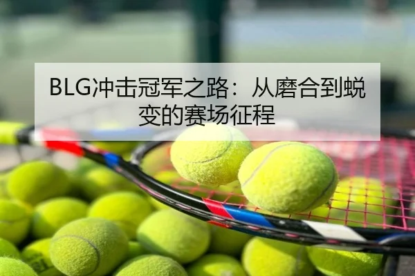 BLG冲击冠军之路：从磨合到蜕变的赛场征程